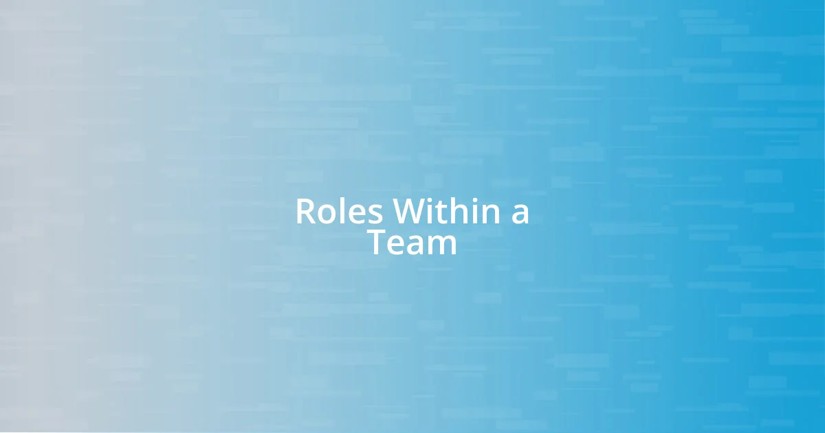 Roles Within a Team